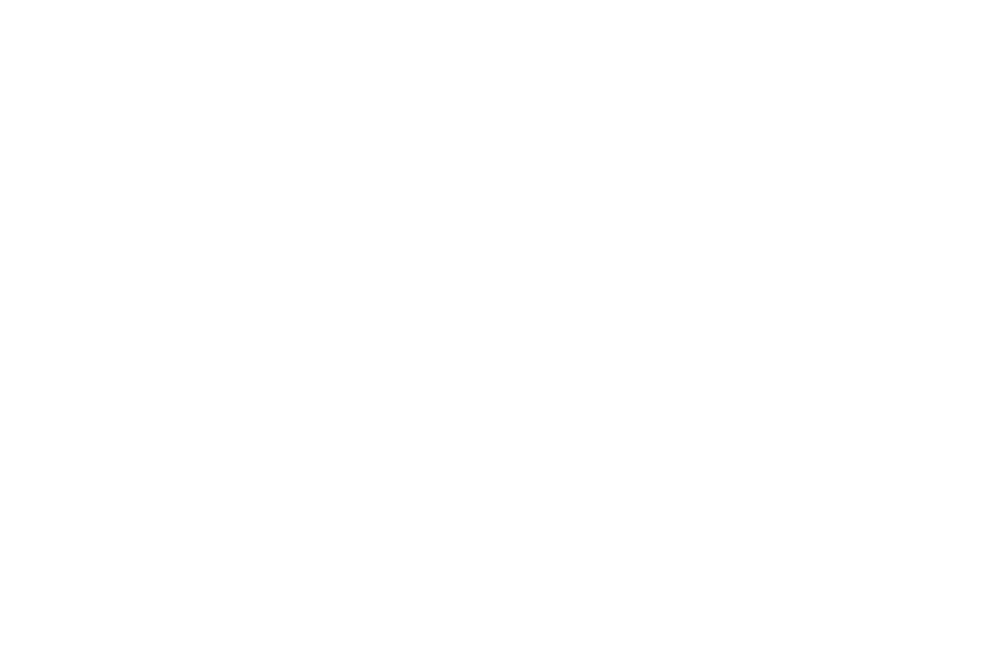 Standard gallery post