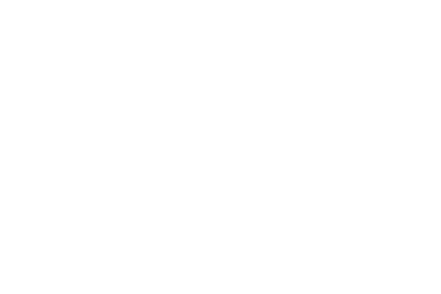 Standard gallery post